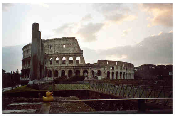 The Coliseum